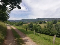 IMG_20190622_133142
