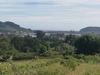 IMG_20190622_103856