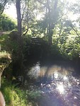 IMG_20190622_095823
