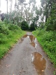 IMG_20190623_131543