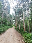 IMG_20190623_085526