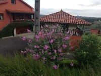 IMG_20190623_082631