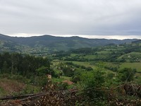 IMG_20190623_081114