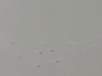 IMG_20190624_121550