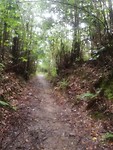 IMG_20190624_111354