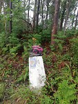 IMG_20190624_105601