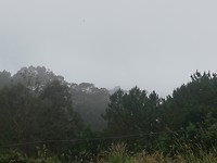 IMG_20190625_133531