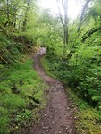 IMG_20190625_131854