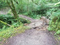IMG_20190625_131845