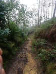 IMG_20190625_105742