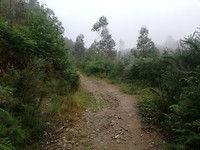 IMG_20190625_082723
