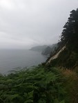 IMG_20190626_084813