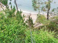 IMG_20190626_084355