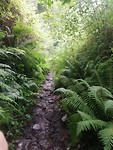 IMG_20190626_083437