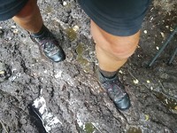 IMG_20190626_083247