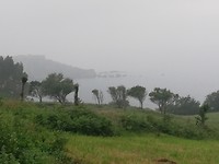 IMG_20190626_082613
