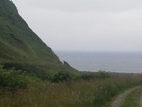 IMG_20190626_081131