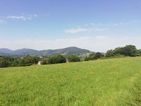 IMG_20190627_112456