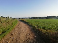 IMG_20190627_080226