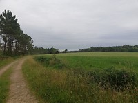 IMG_20190628_085204