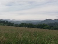 IMG_20190628_080051