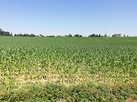 IMG_20190703_112855