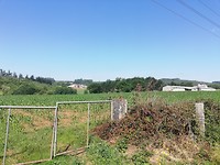 IMG_20190703_111529