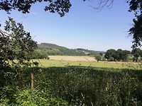 IMG_20190703_110433