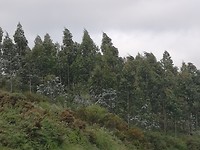 IMG_20190702_123629