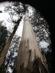 IMG_20190704_125745