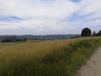 IMG_20190704_114635