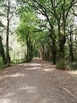 IMG_20190704_114016