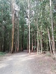 IMG_20190704_110204