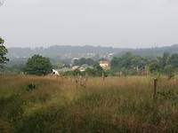 IMG_20190704_095530
