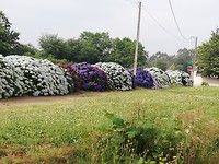 IMG_20190704_094108