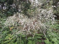 IMG_20190705_072131