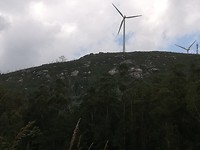 IMG_20190706_131459