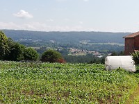 IMG_20190706_121612
