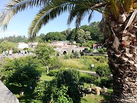 IMG_20190706_103608