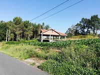 IMG_20190706_101251