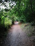 IMG_20190706_072119