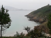 IMG_20190708_101907
