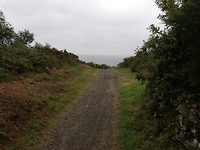 IMG_20190708_101449