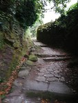 IMG_20190708_083532