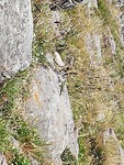 IMG_20190708_154051