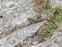 IMG_20190708_153826