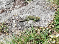 IMG_20190708_153813