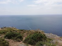 IMG_20190708_145750