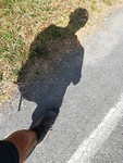 IMG_20190709_121344