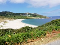IMG_20190709_121333